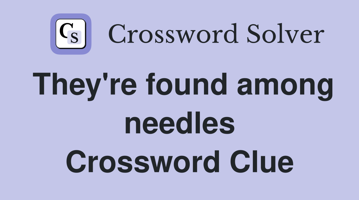 They're found among needles Crossword Clue