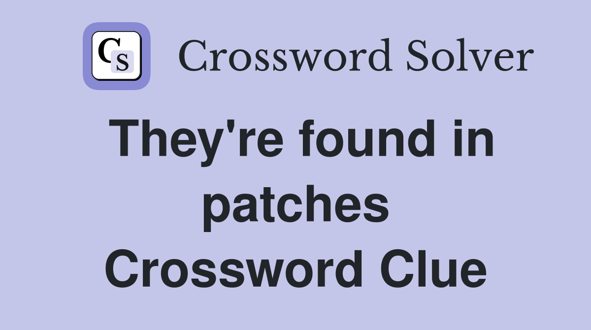 They're found in patches Crossword Clue
