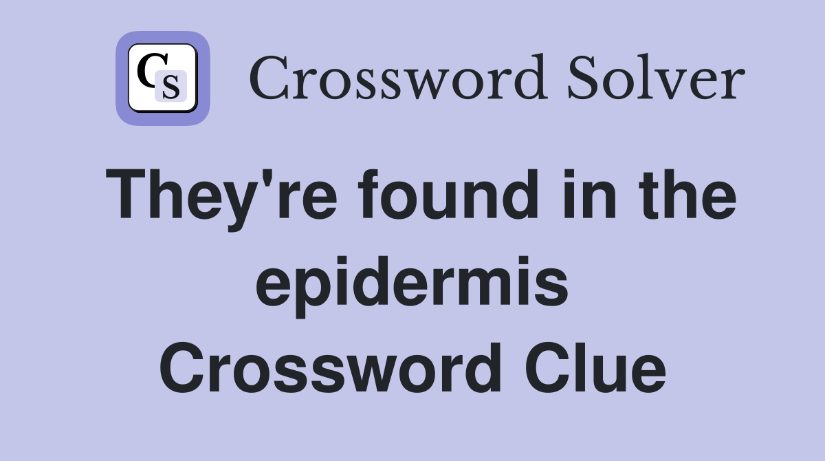 They're found in the epidermis Crossword Clue