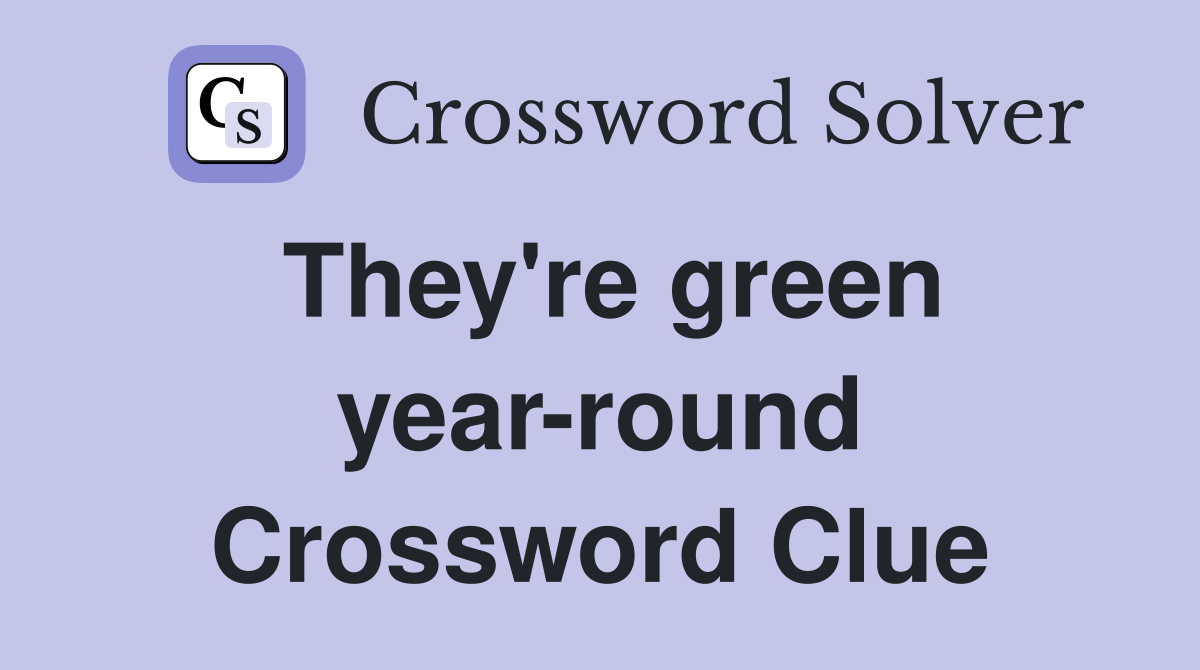 They're green year-round Crossword Clue