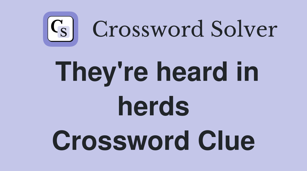 They're heard in herds Crossword Clue