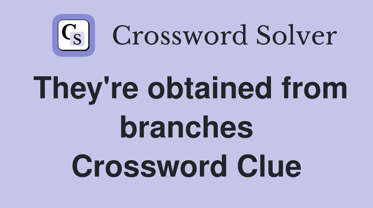 They're obtained from branches Crossword Clue