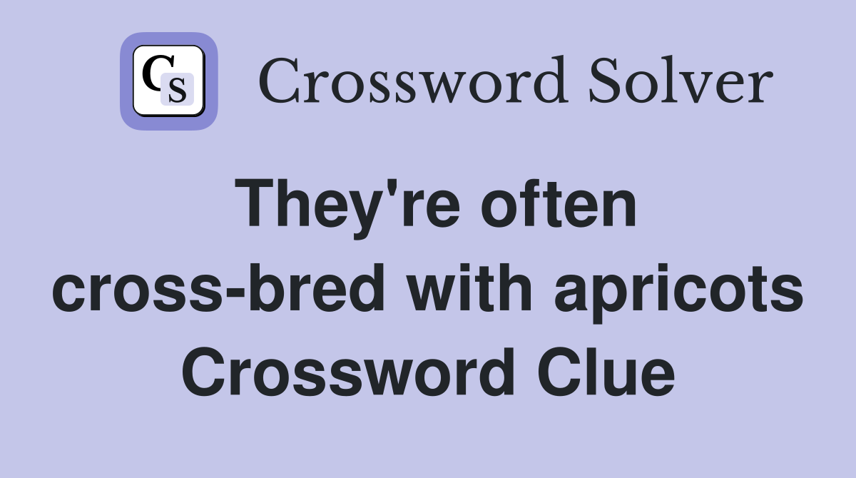 They're often cross-bred with apricots Crossword Clue