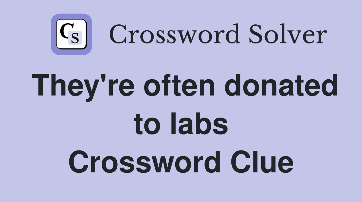 They're often donated to labs Crossword Clue