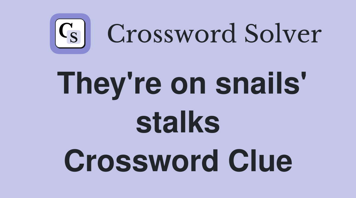 They're on snails' stalks Crossword Clue
