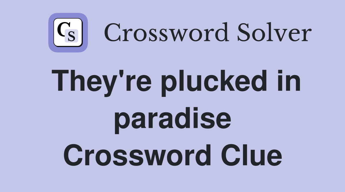 They're plucked in paradise Crossword Clue