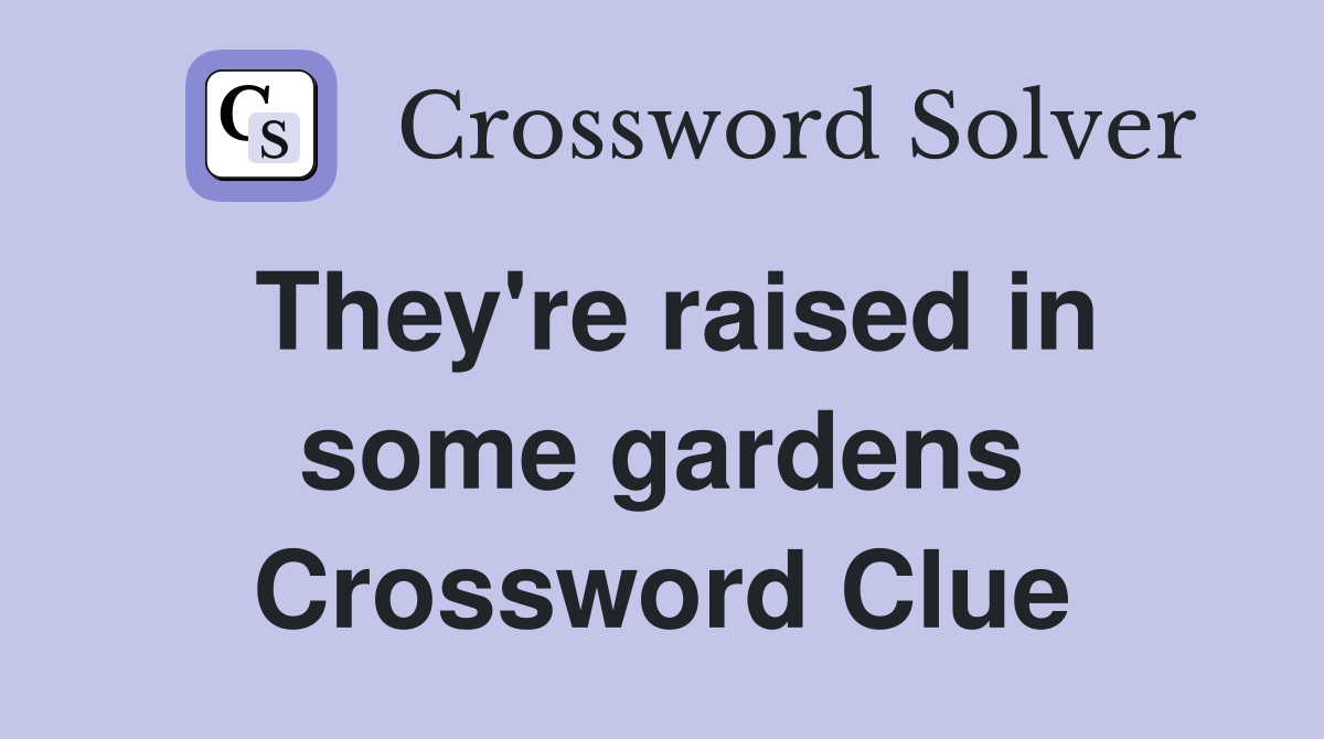 They're raised in some gardens Crossword Clue