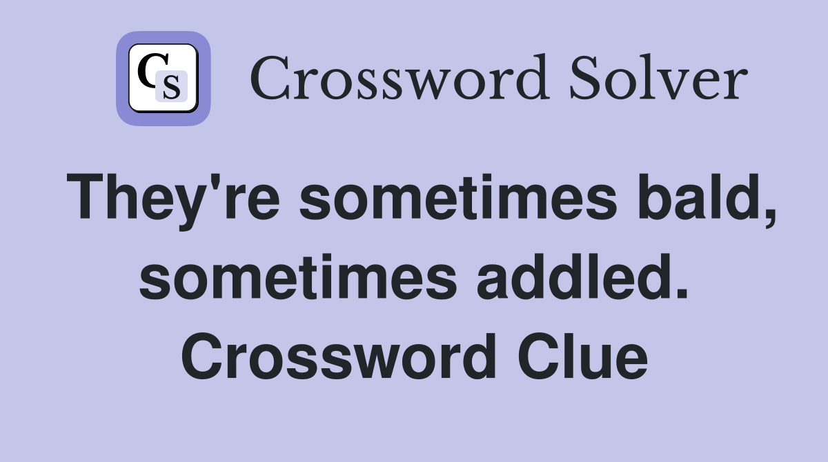 They're sometimes bald, sometimes addled. Crossword Clue