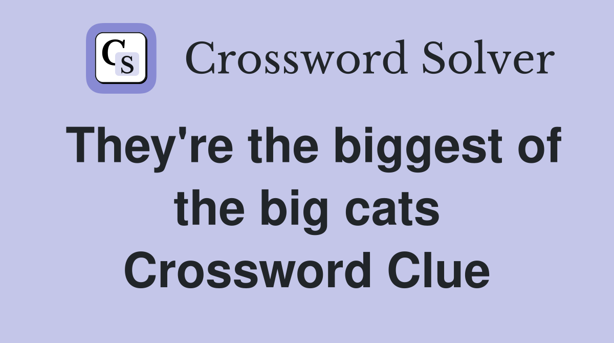 They're the biggest of the big cats Crossword Clue