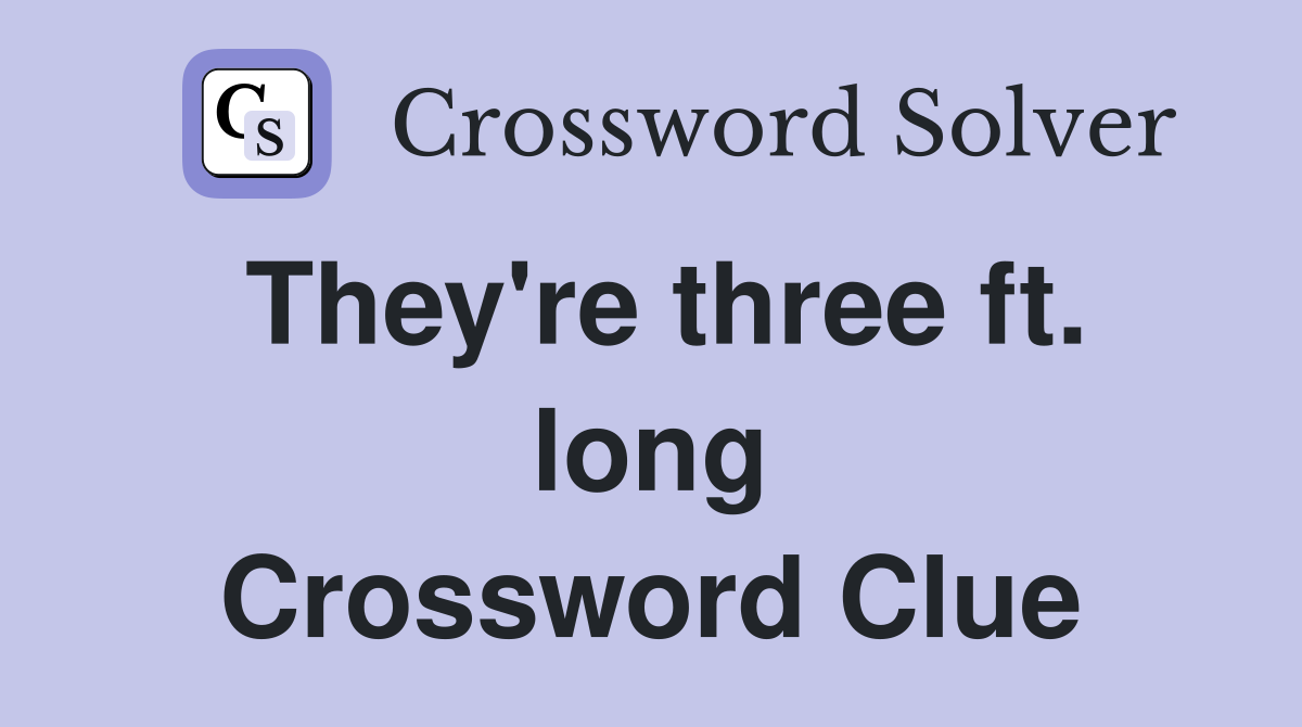 They're three ft. long Crossword Clue