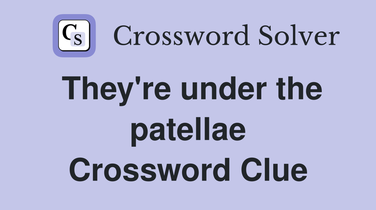 They're under the patellae Crossword Clue