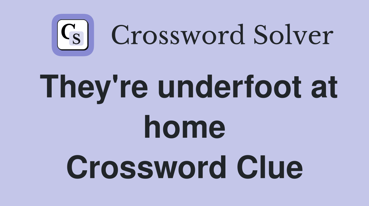 They're underfoot at home Crossword Clue