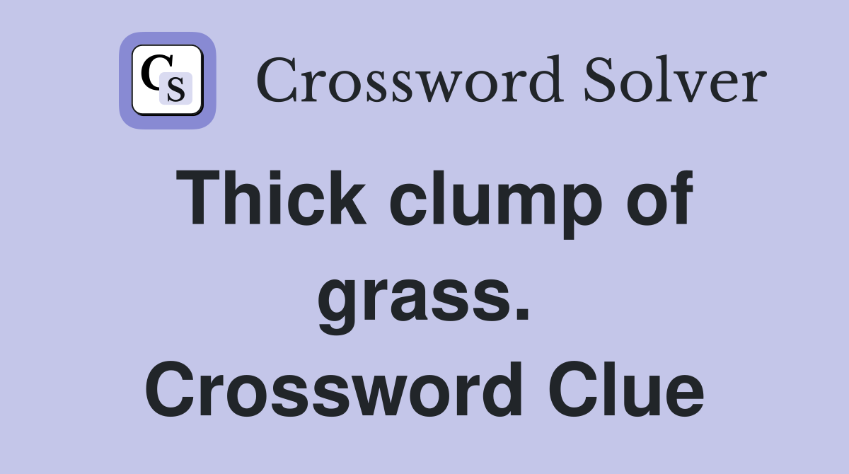 Thick clump of grass. Crossword Clue
