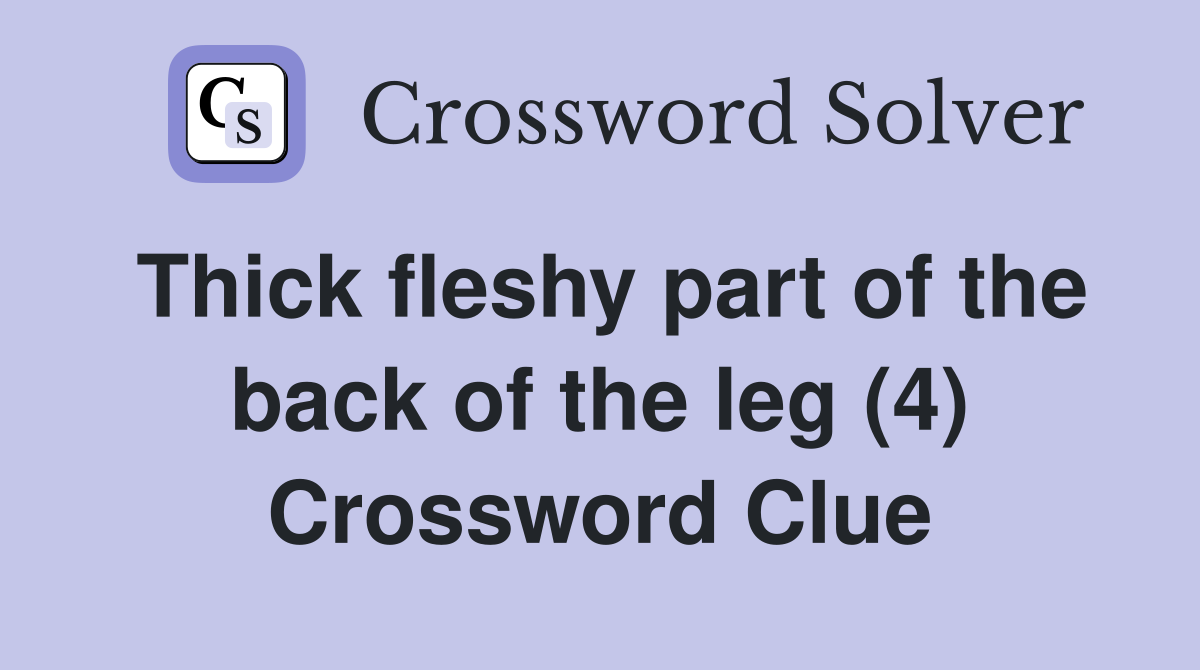 Thick fleshy part of the back of the leg (4) Crossword Clue