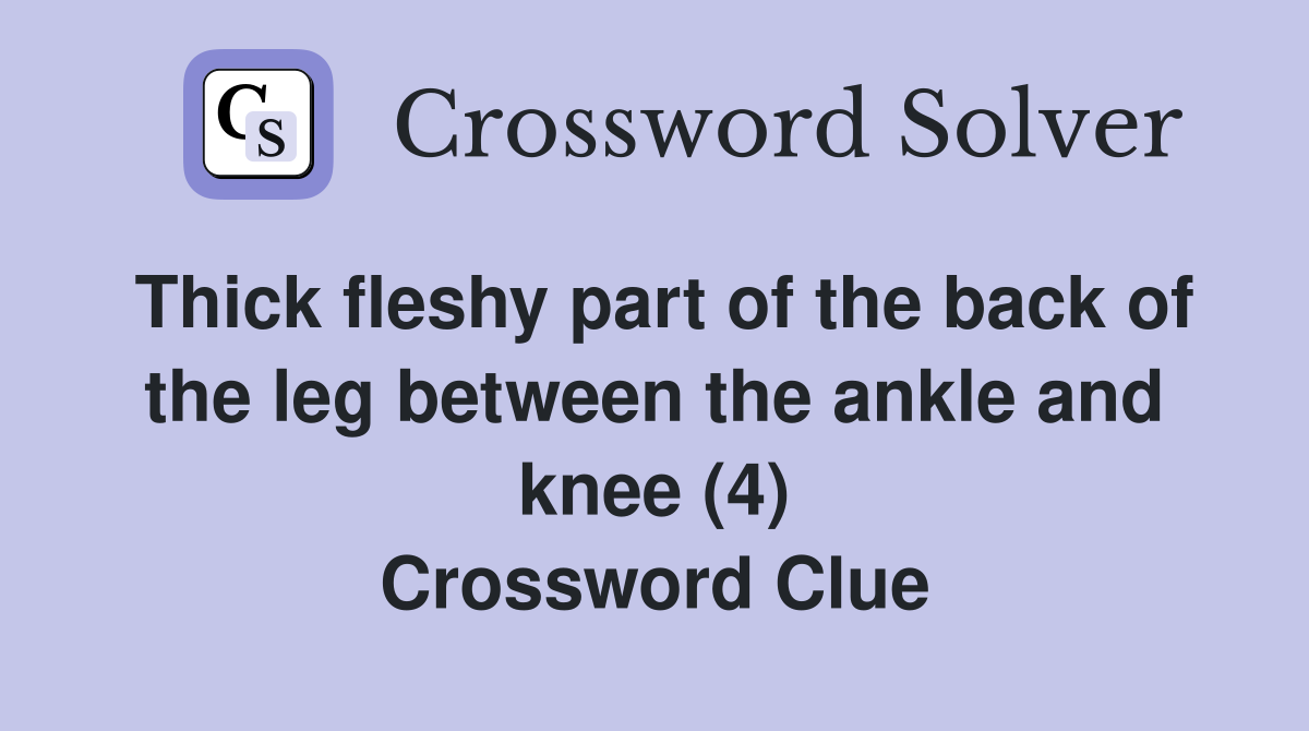 Thick fleshy part of the back of the leg between the ankle and knee (4) Crossword Clue