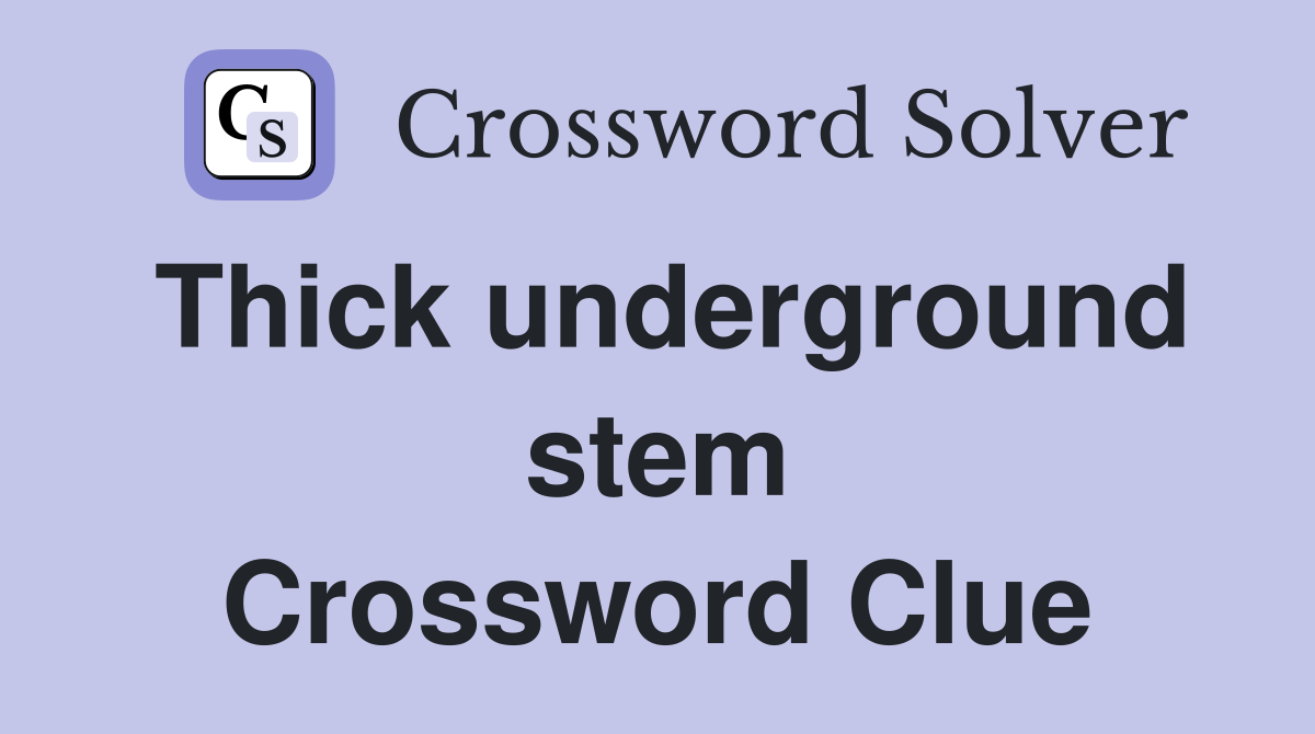 Thick underground stem Crossword Clue