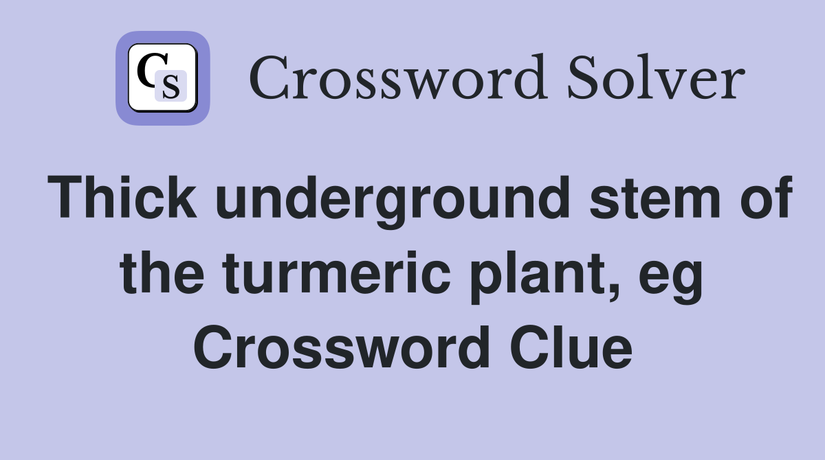 Thick underground stem of the turmeric plant, eg Crossword Clue