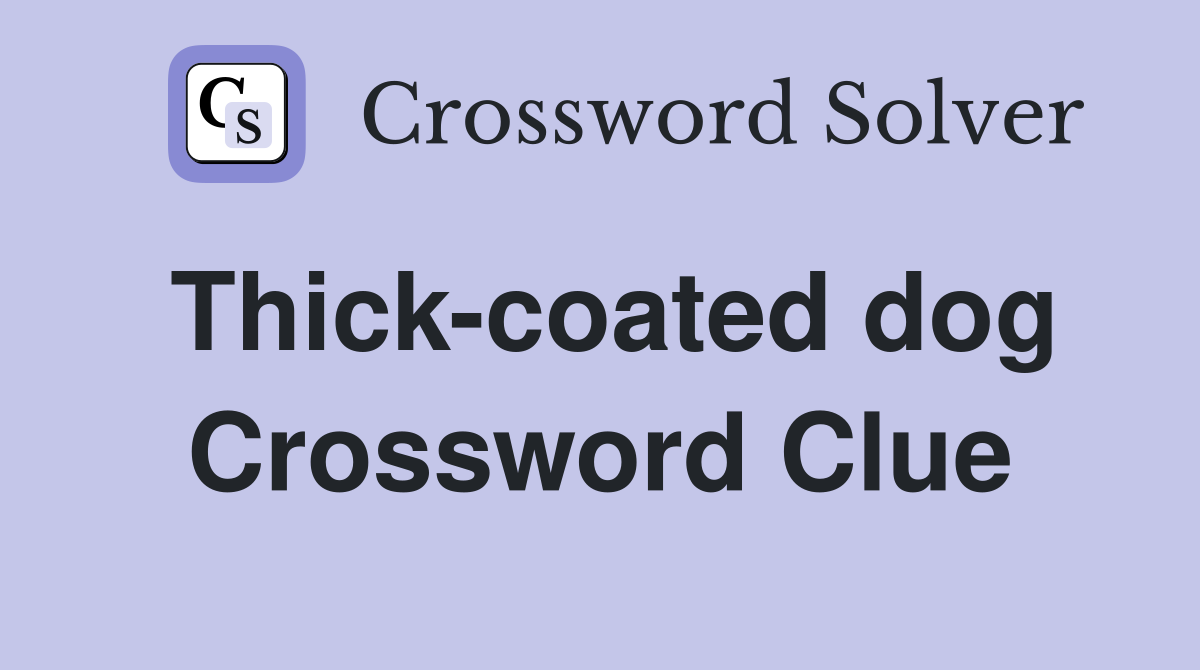 Thick-coated dog Crossword Clue