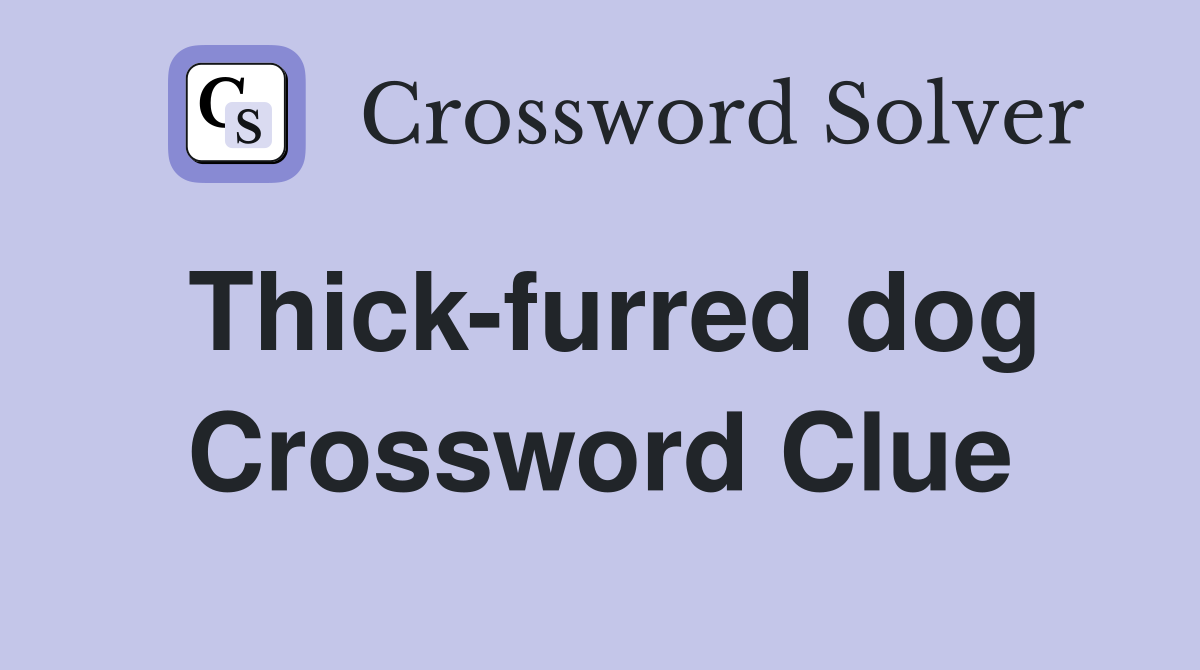 Thick-furred dog Crossword Clue