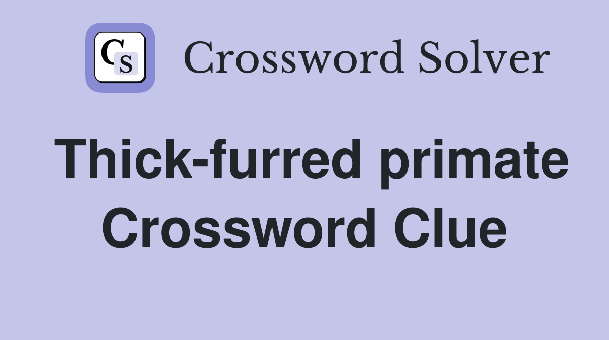 Thick-furred primate Crossword Clue