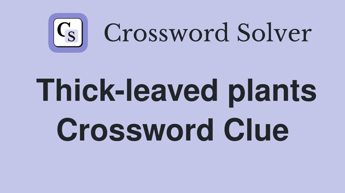 Thick-leaved plants Crossword Clue