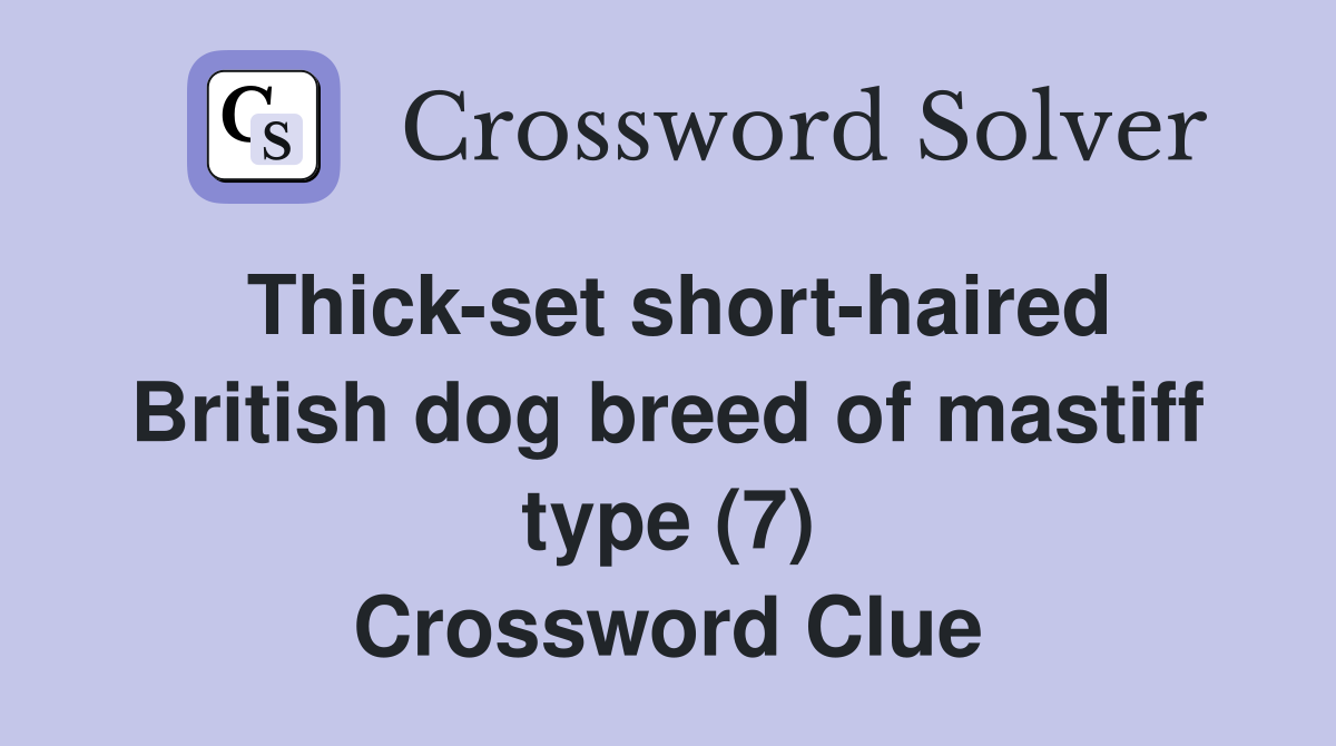 Thick-set short-haired British dog breed of mastiff type (7) Crossword Clue