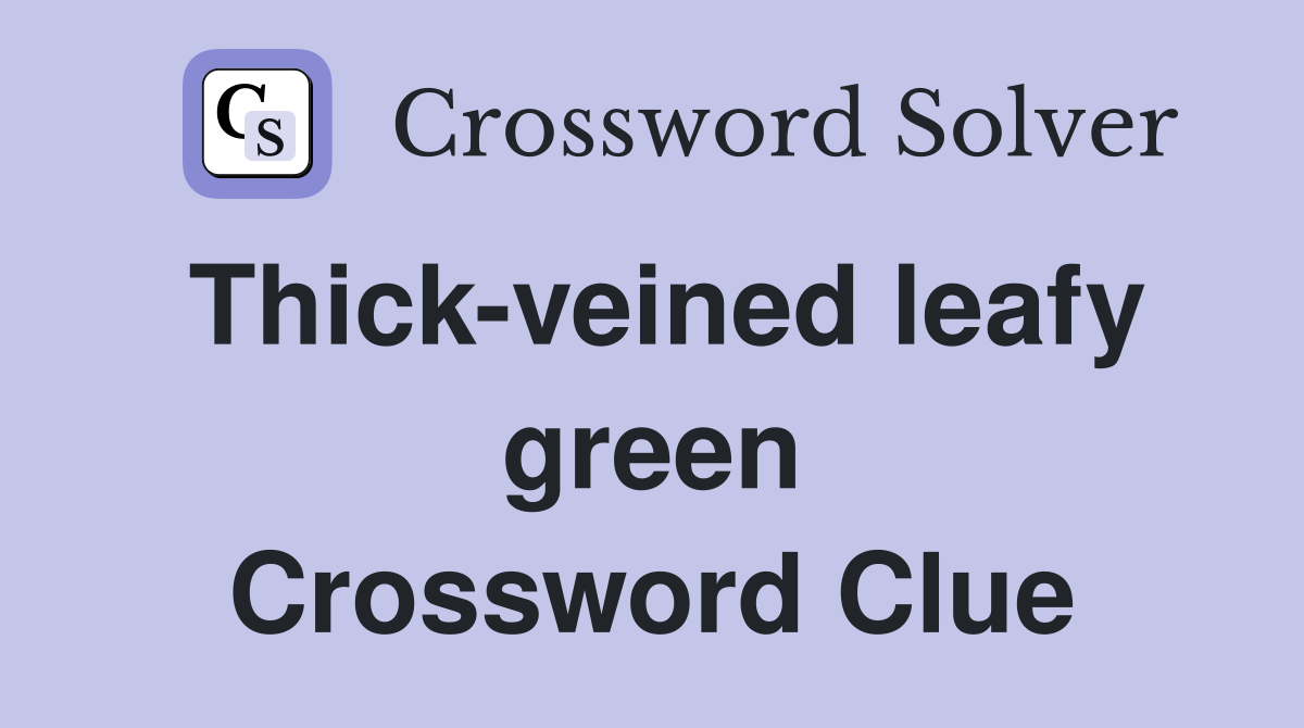 Thick-veined leafy green Crossword Clue