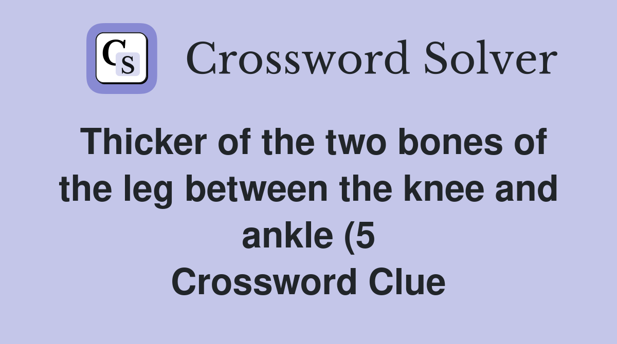 Thicker of the two bones of the leg between the knee and ankle (5 Thicker of the two bones of the leg between the knee and ankle (5