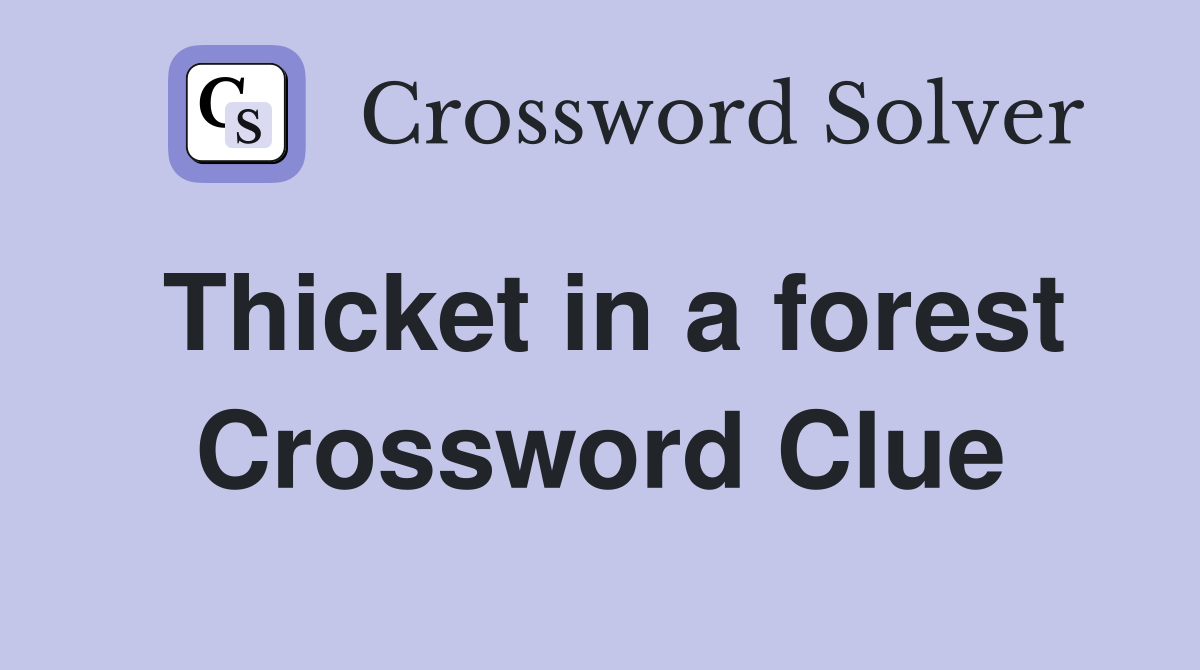 Thicket in a forest Crossword Clue