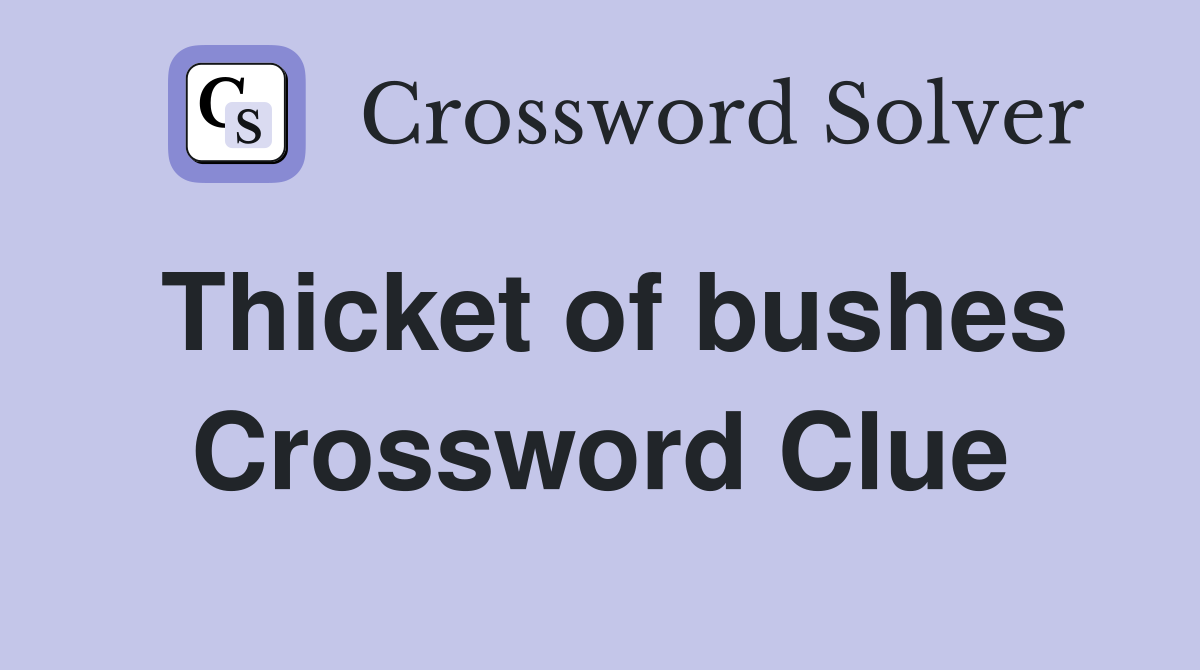 Thicket of bushes Crossword Clue