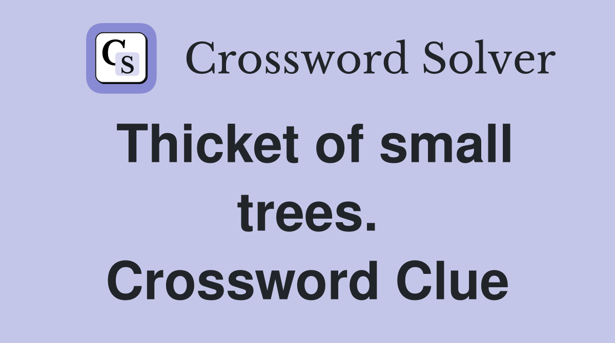 Thicket of small trees. Crossword Clue