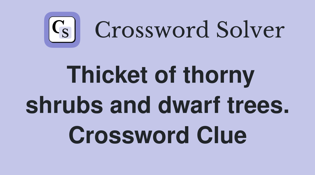 Thicket of thorny shrubs and dwarf trees. Crossword Clue