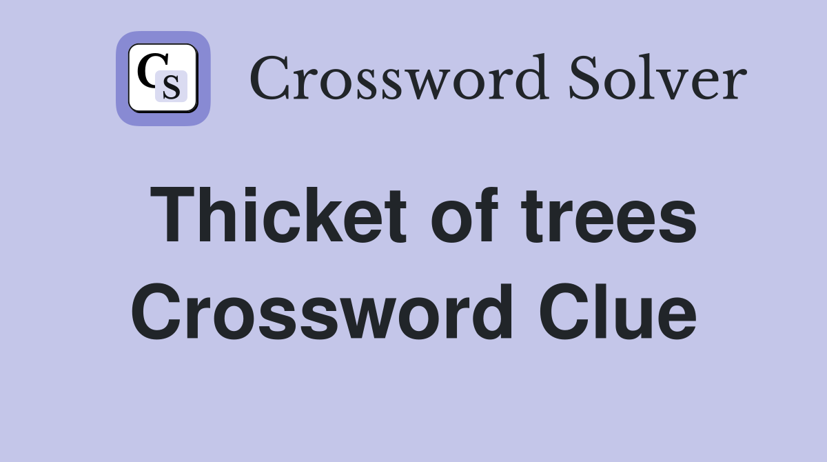 Thicket of trees Crossword Clue