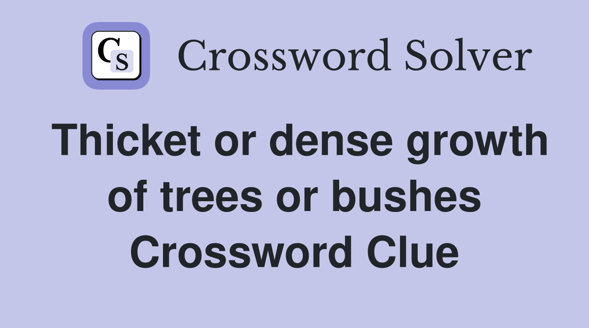 Thicket or dense growth of trees or bushes Crossword Clue