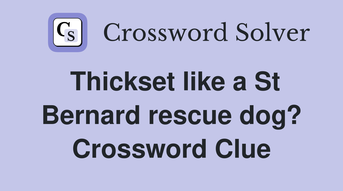 Thickset like a St Bernard rescue dog? Crossword Clue
