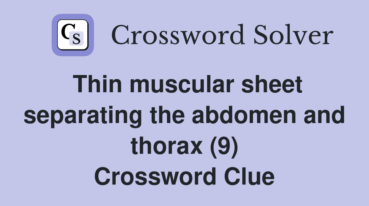 Thin muscular sheet separating the abdomen and thorax (9) Crossword Clue