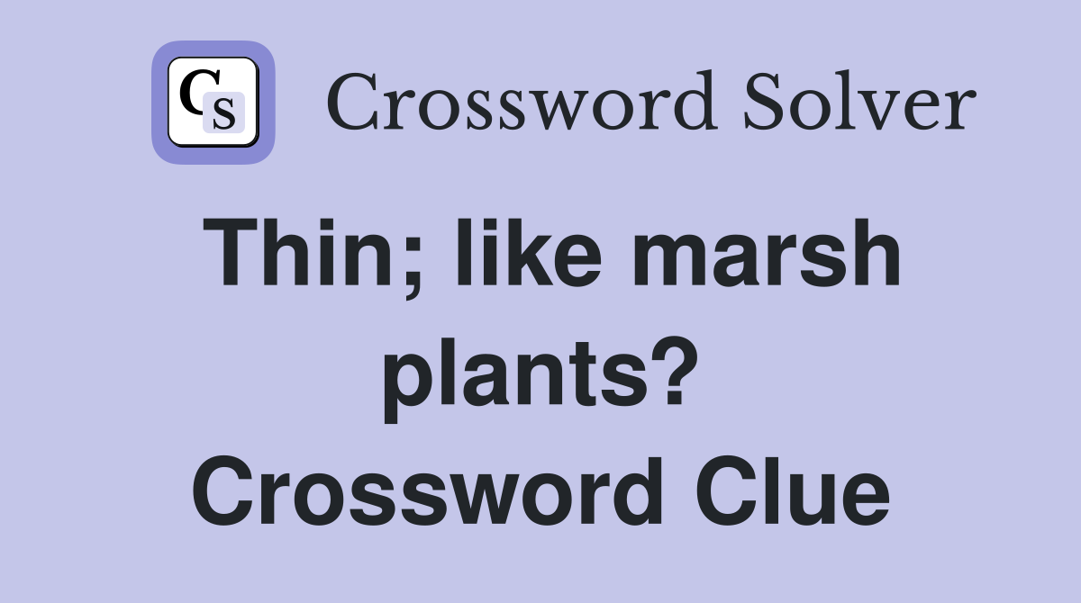 Thin; like marsh plants? Crossword Clue