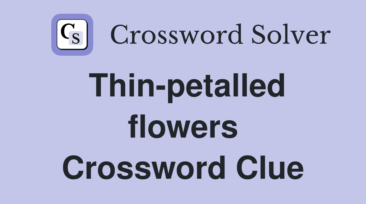 Thin-petalled flowers Crossword Clue