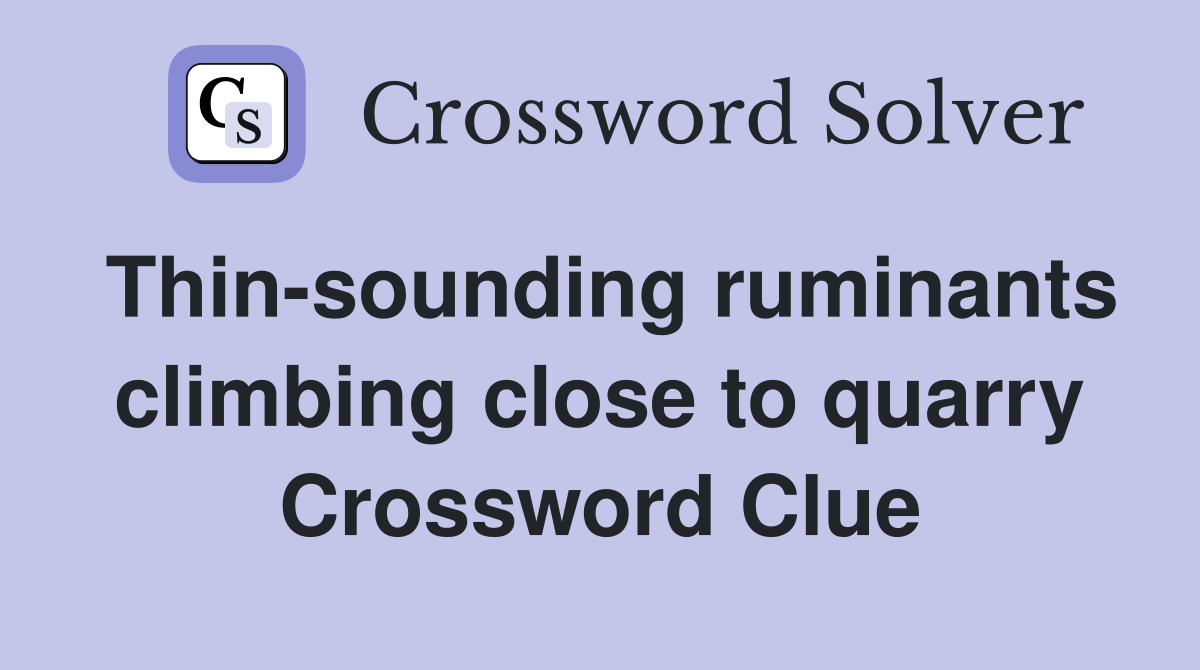 Thin-sounding ruminants climbing close to quarry Crossword Clue