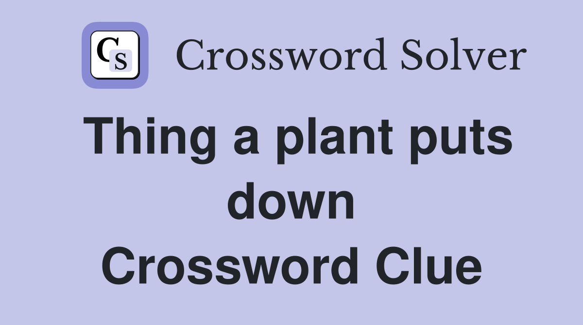 Thing a plant puts down Crossword Clue