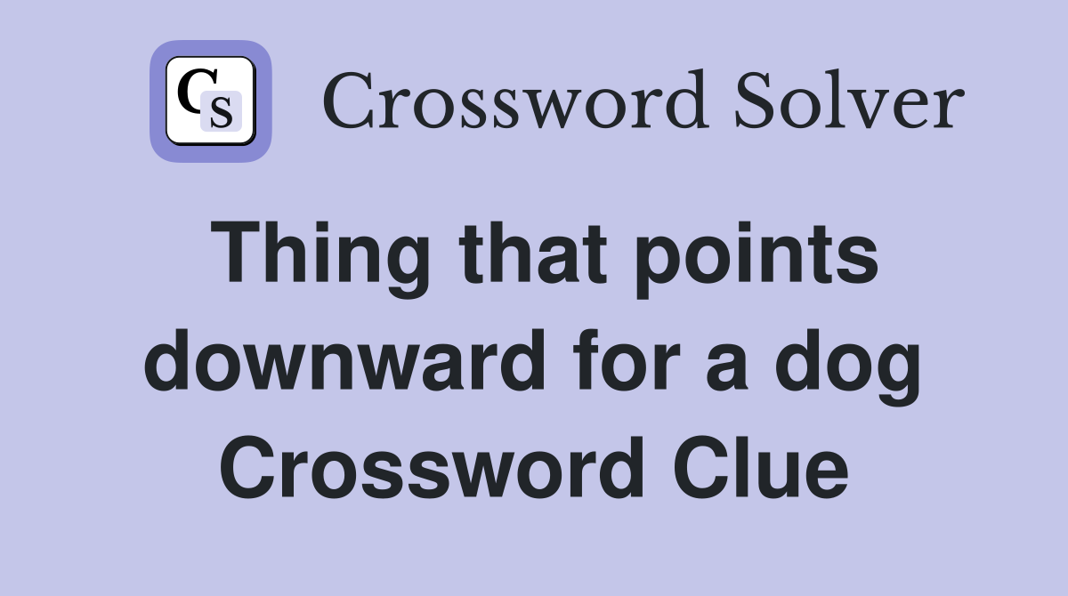 Thing that points downward for a dog Crossword Clue