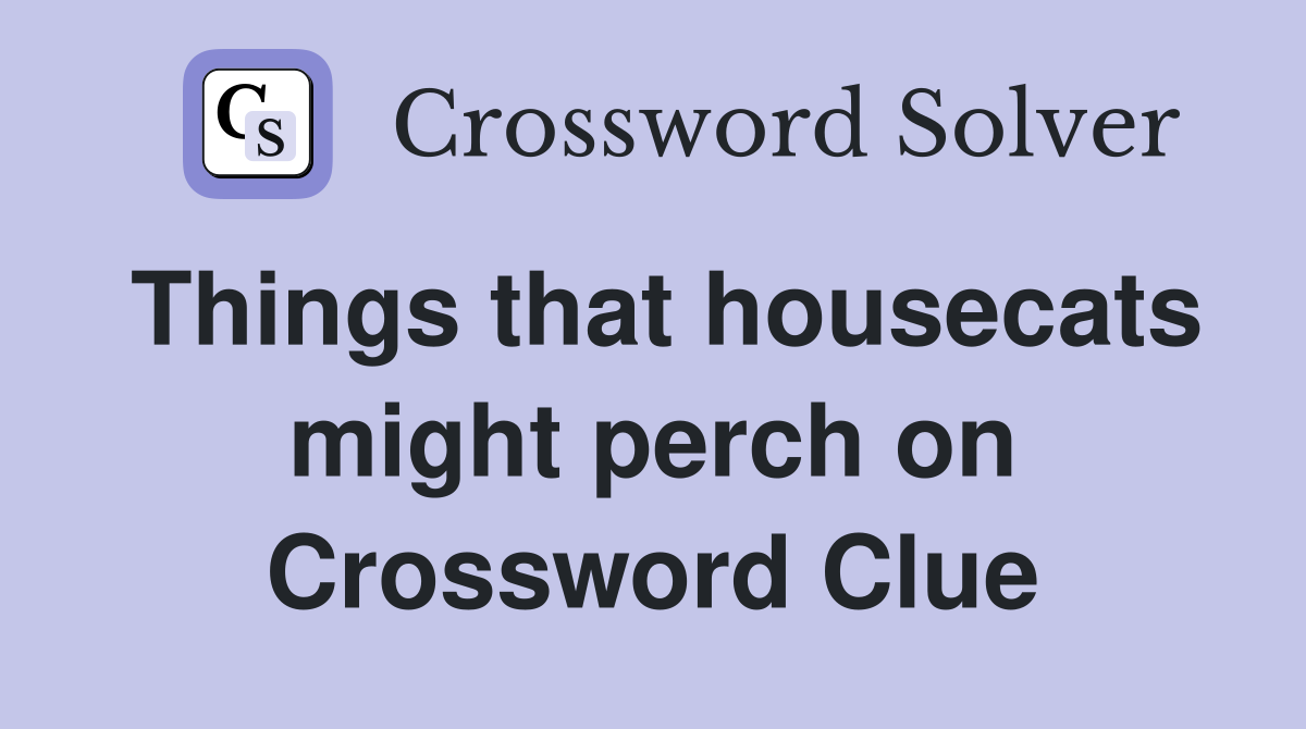 Things that housecats might perch on Crossword Clue