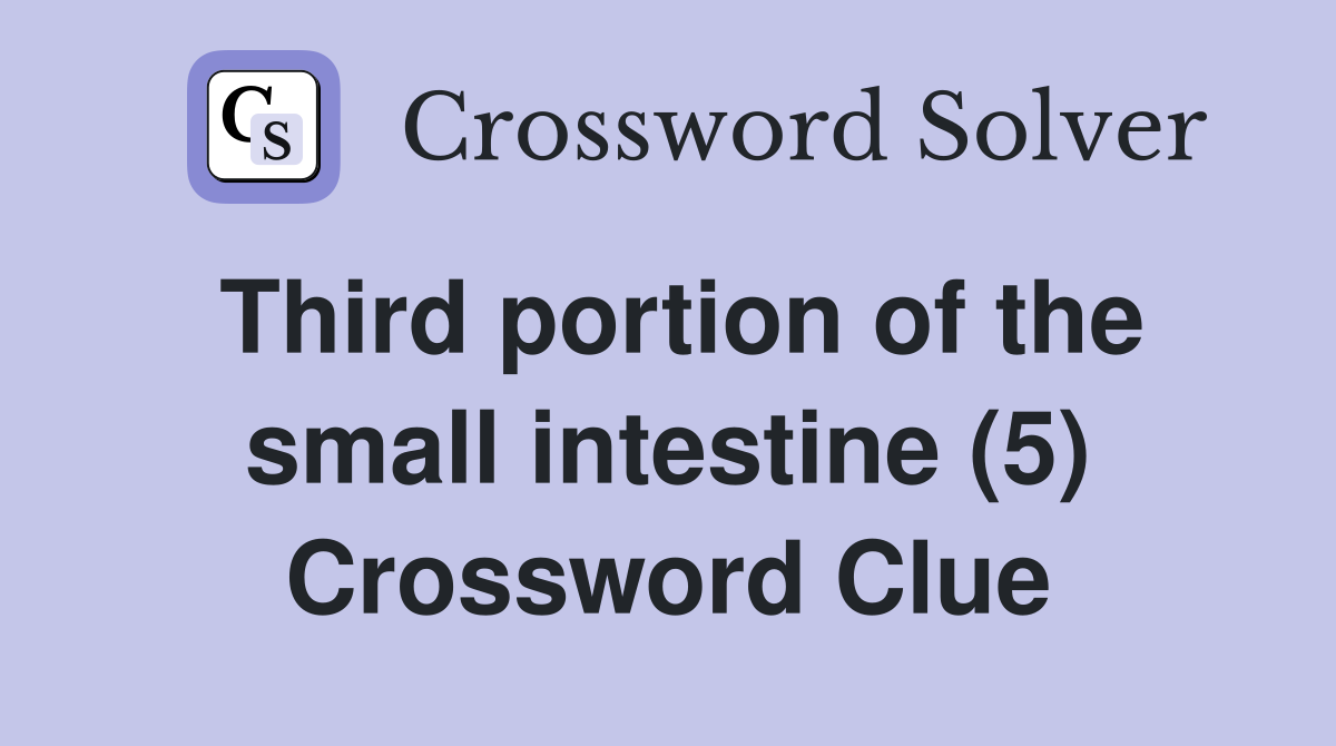 Third portion of the small intestine (5) Crossword Clue