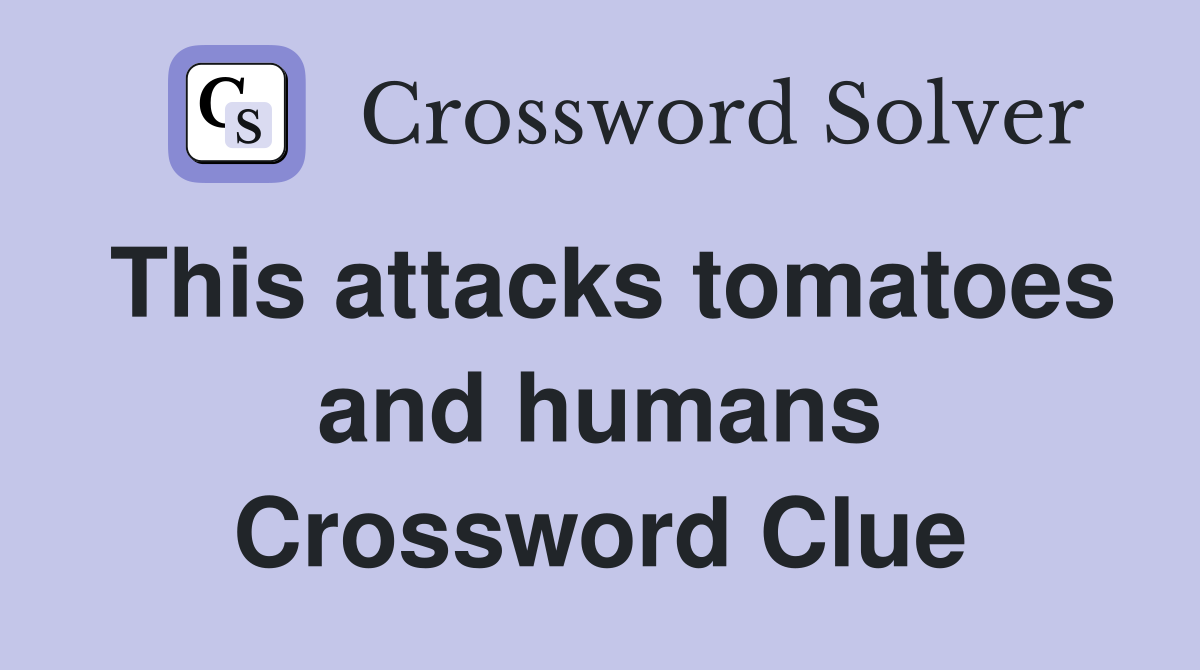 This attacks tomatoes and humans Crossword Clue