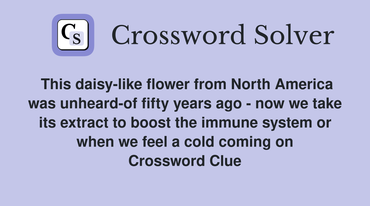 This daisy-like flower from North America was unheard-of fifty years ago - now we take its extract to boost the immune system or when we feel a cold coming on Crossword Clue