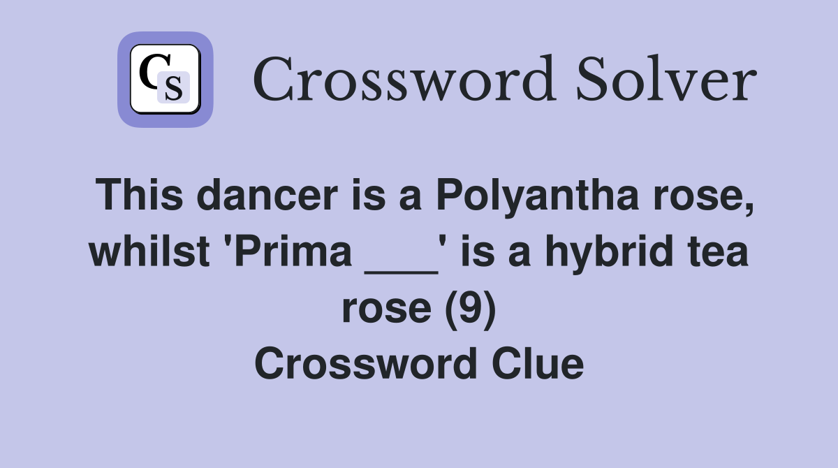 This dancer is a Polyantha rose, whilst 'Prima ___' is a hybrid tea rose (9) Crossword Clue