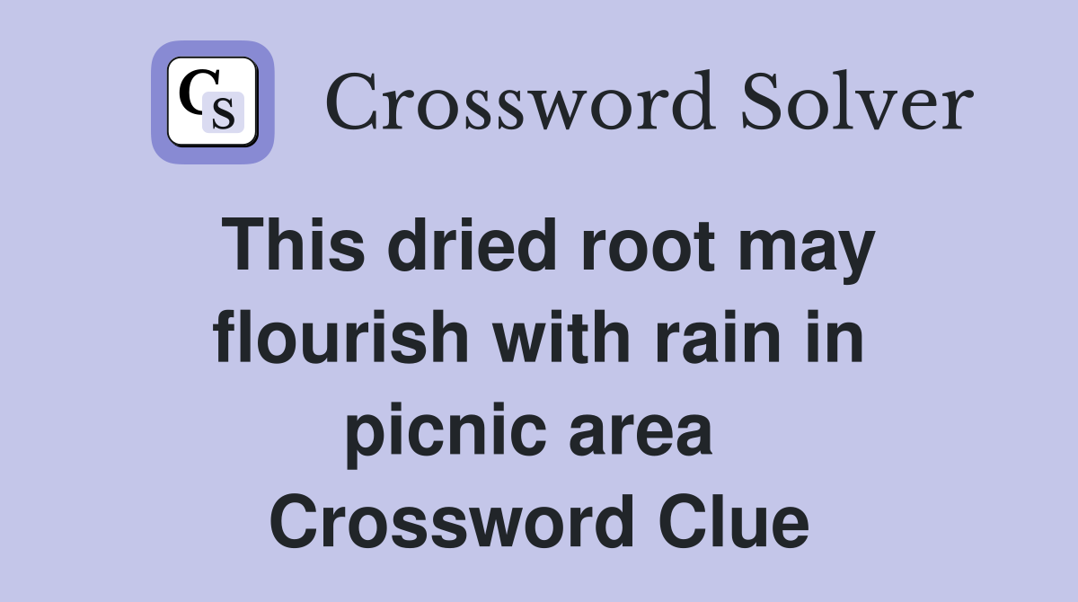 This dried root may flourish with rain in picnic area  Crossword Clue