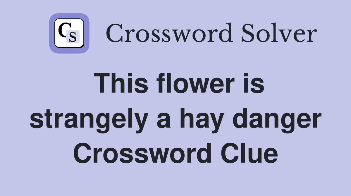 This flower is strangely a hay danger Crossword Clue