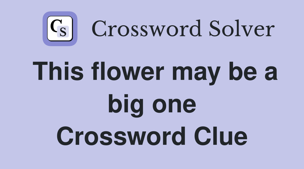 This flower may be a big one Crossword Clue