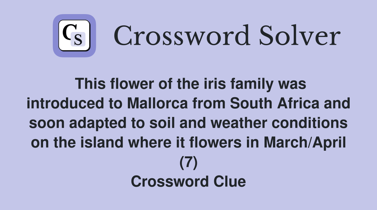 This flower of the iris family was introduced to Mallorca from South Africa and soon adapted to soil and weather conditions on the island where it flowers in March/April (7) Crossword Clue